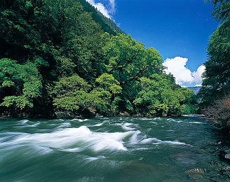 《巫术变体：达芙妮》发布“故事的开始”游戏预告